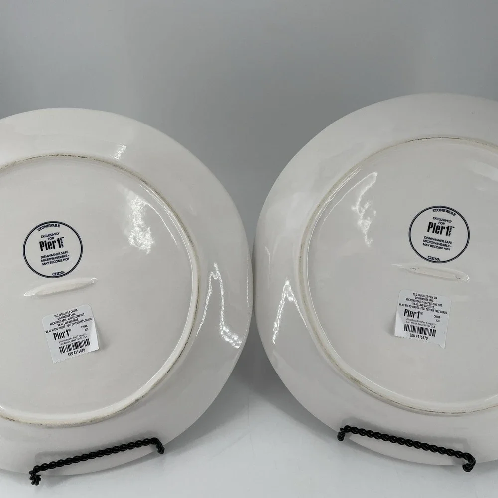 NWT Pier 1 Buffalo Harvest Pumpkin Dinner Plates Set Of 2 Black & White 10.5